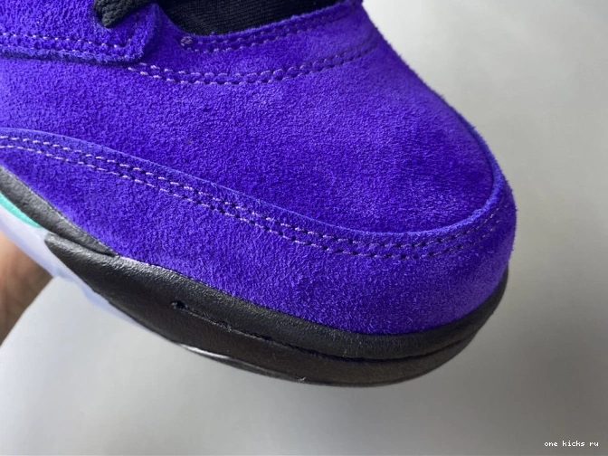 Chep Onekick Retro Air Alternate Grape 136027-500 Jordan 5 0719